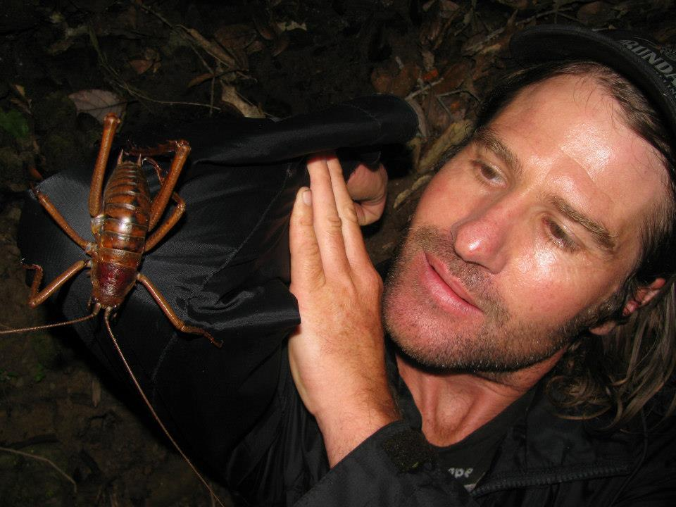 Гигантская уэта: в Новой Зеландии эти чудовища заменяют зайцев!
Гигантская уэта: в Новой Зеландии эти чудовища заменяют зайцев!