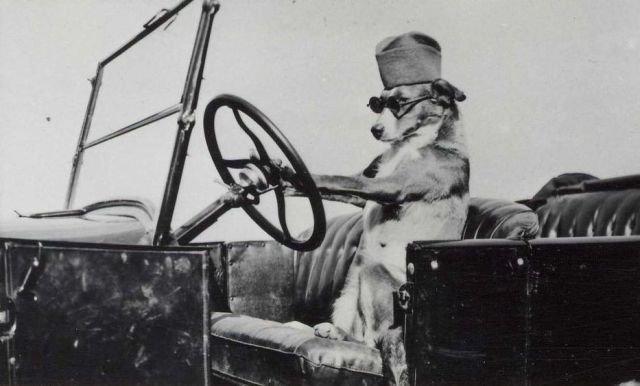 Подборка прикольных фото №3910