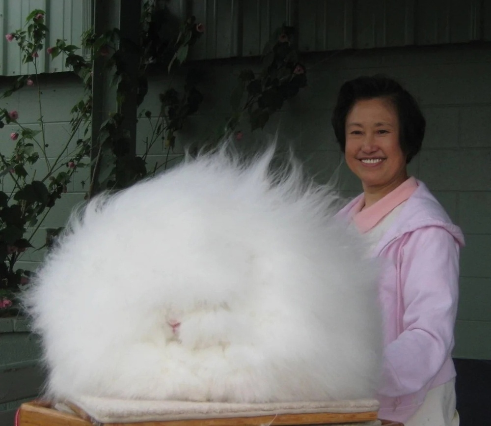 
        Фотографии дикой природы, которые могут удивить любого    