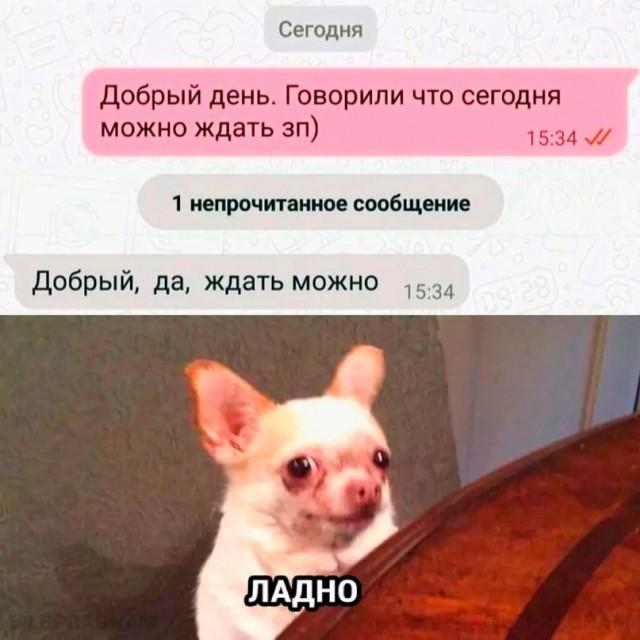 Смешные мемы