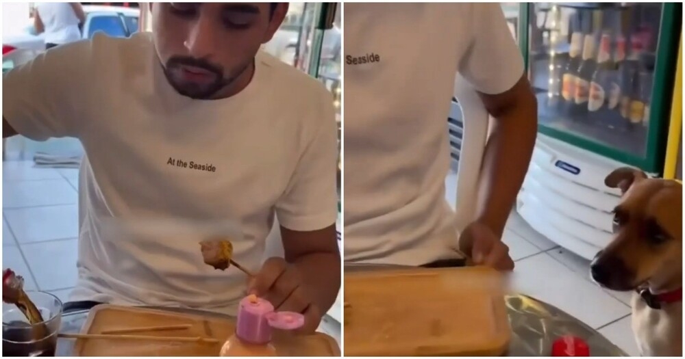 Прекрасные рефлексы
Прекрасные рефлексы