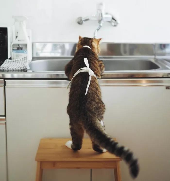 Подборка прикольных фото №3905