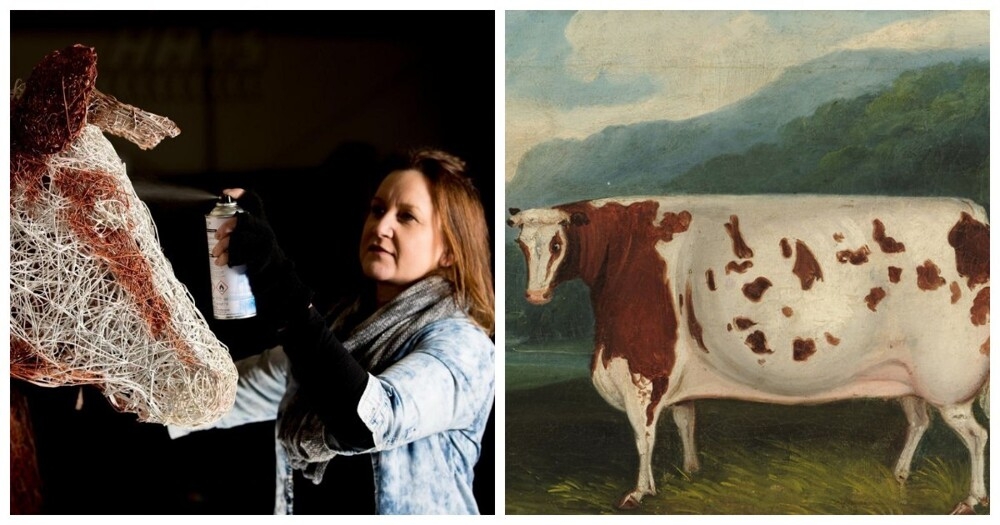 История самой знаменитой коровы Британии
История самой знаменитой коровы Британии