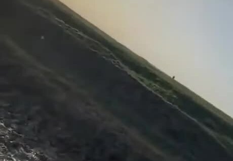 
        Мужчина спас жеребёнка, застрявшего в&nbsp;грязи    