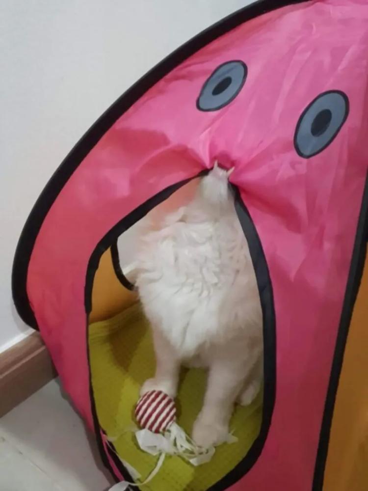 20+ моделей, фотогеничности которых можно только позавидовать
20+ моделей, фотогеничности которых можно только позавидовать