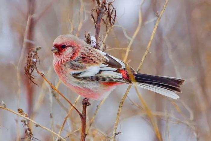 Подборка прикольных фото №3905