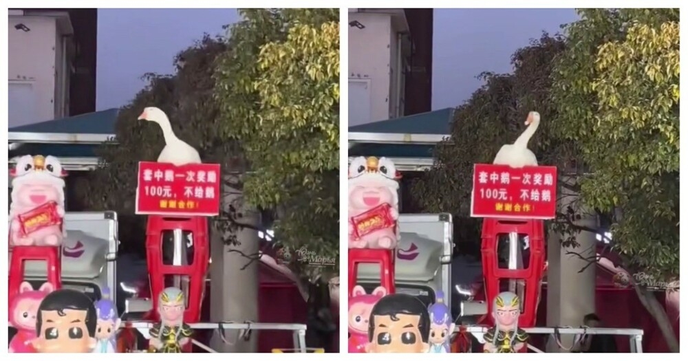 
        Гусь стал звездой новогодних праздников в&nbsp;Китае    