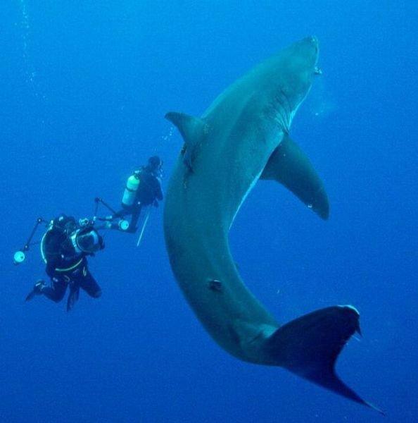 Подборка прикольных фото №3911