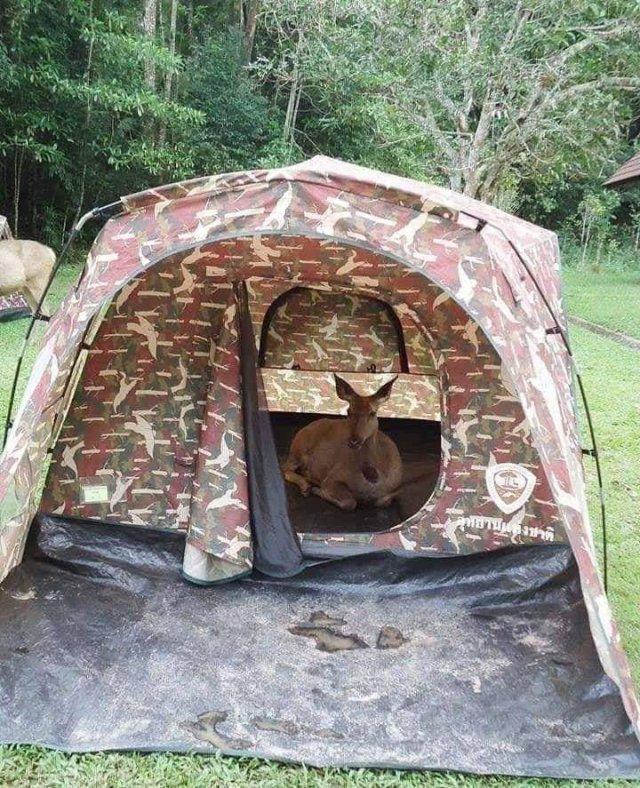 Подборка прикольных фото №3914