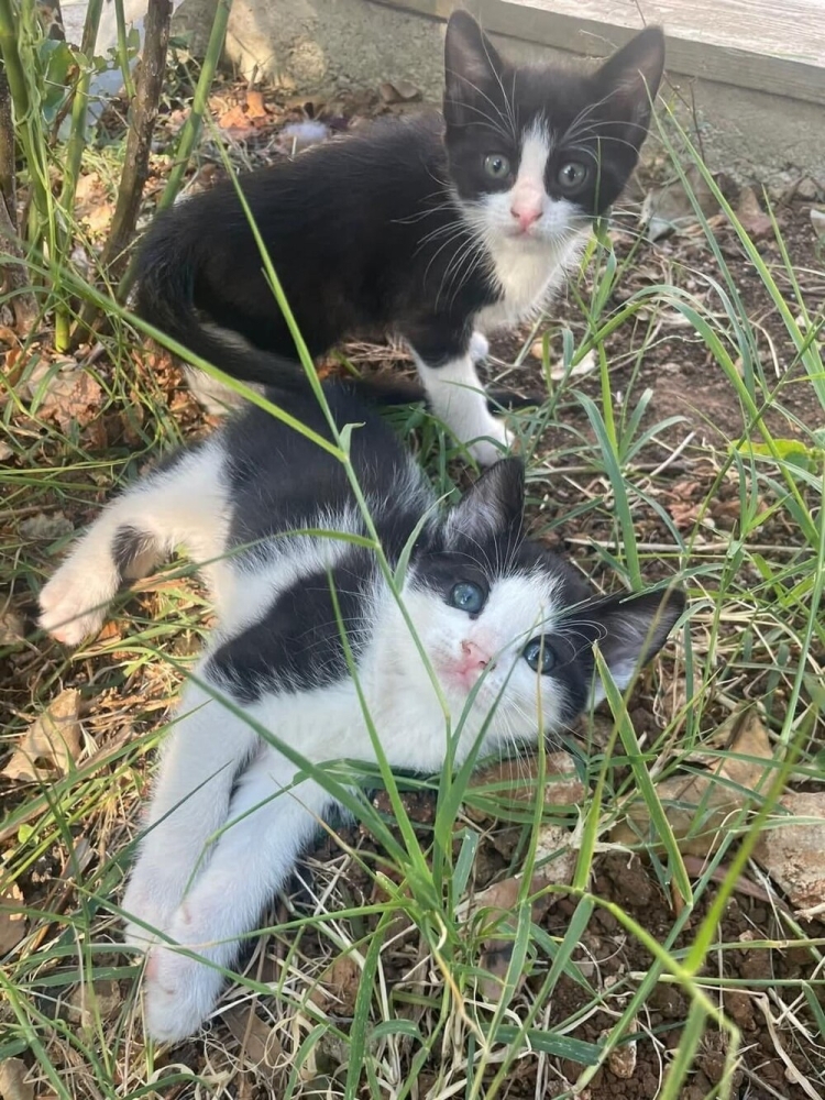 
        30&nbsp;снимков, доказывающих, что&nbsp;мимимишность спасёт мир    