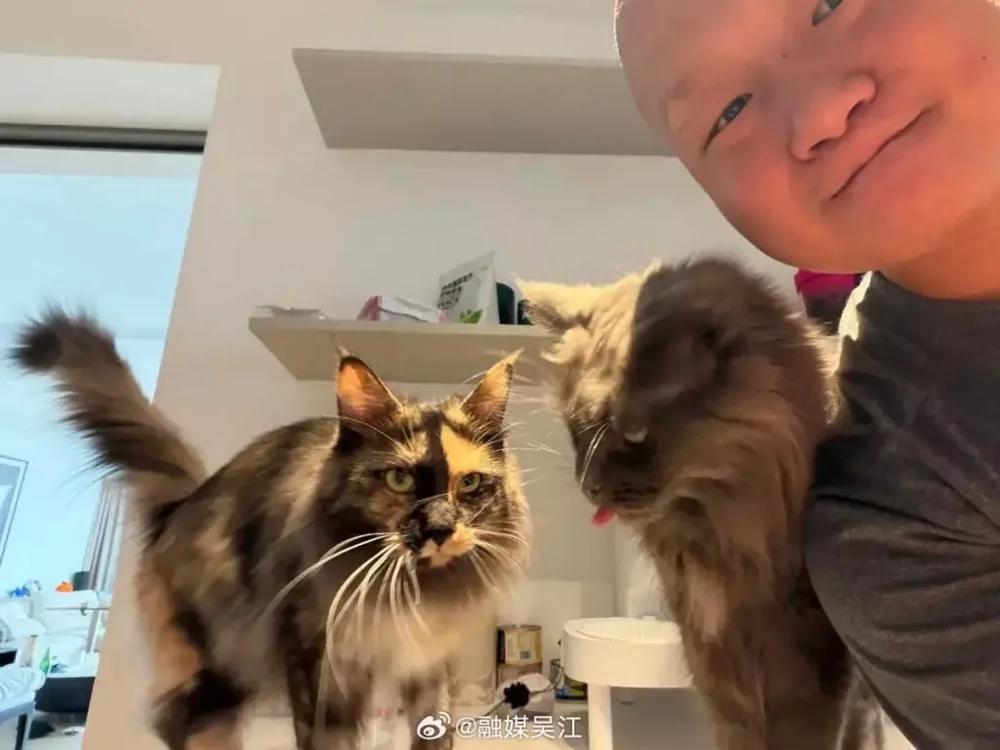 
        Китаец заработал $23&nbsp;000&nbsp;за&nbsp;неделю, работая кото-няней    