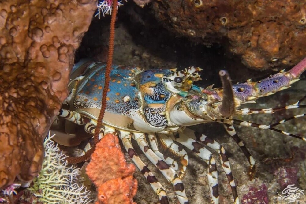 
        25&nbsp;вдохновляющих кадров, от&nbsp;которых перехватывает дыхание    