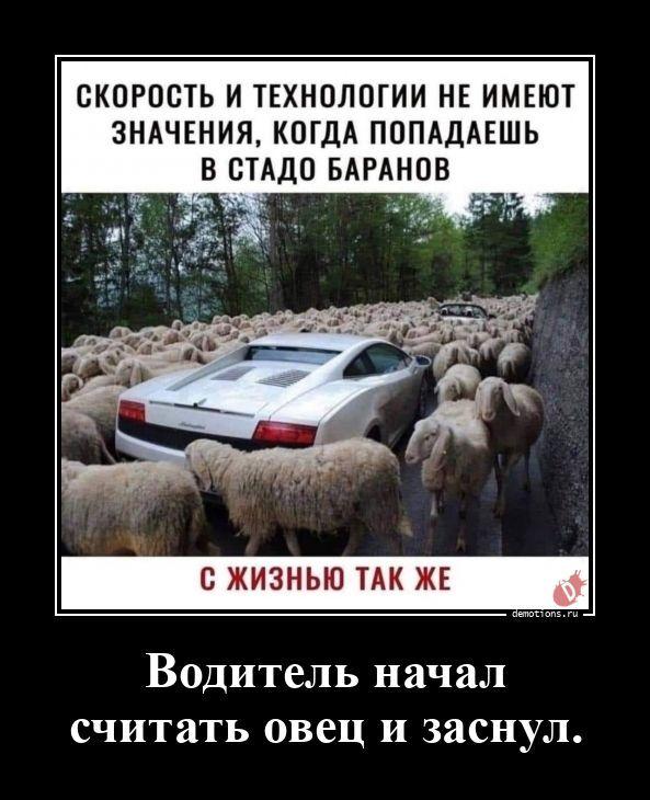 
			Демотиваторы №3788 (20 фото)