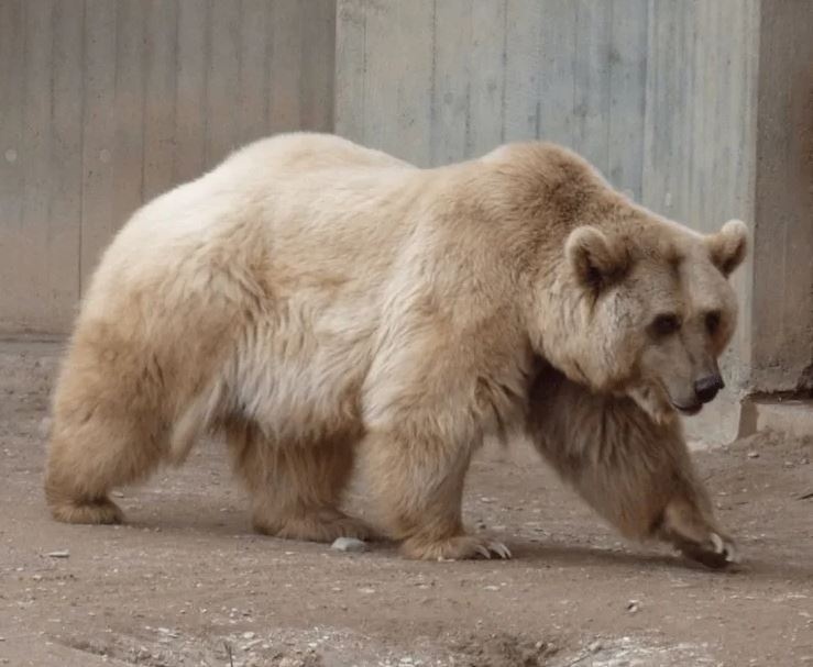 
        Фотографии дикой природы, которые могут удивить любого    