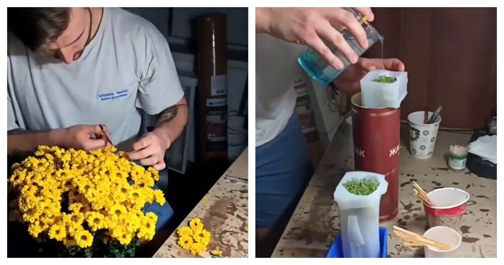 Неожиданное искусство
Неожиданное искусство