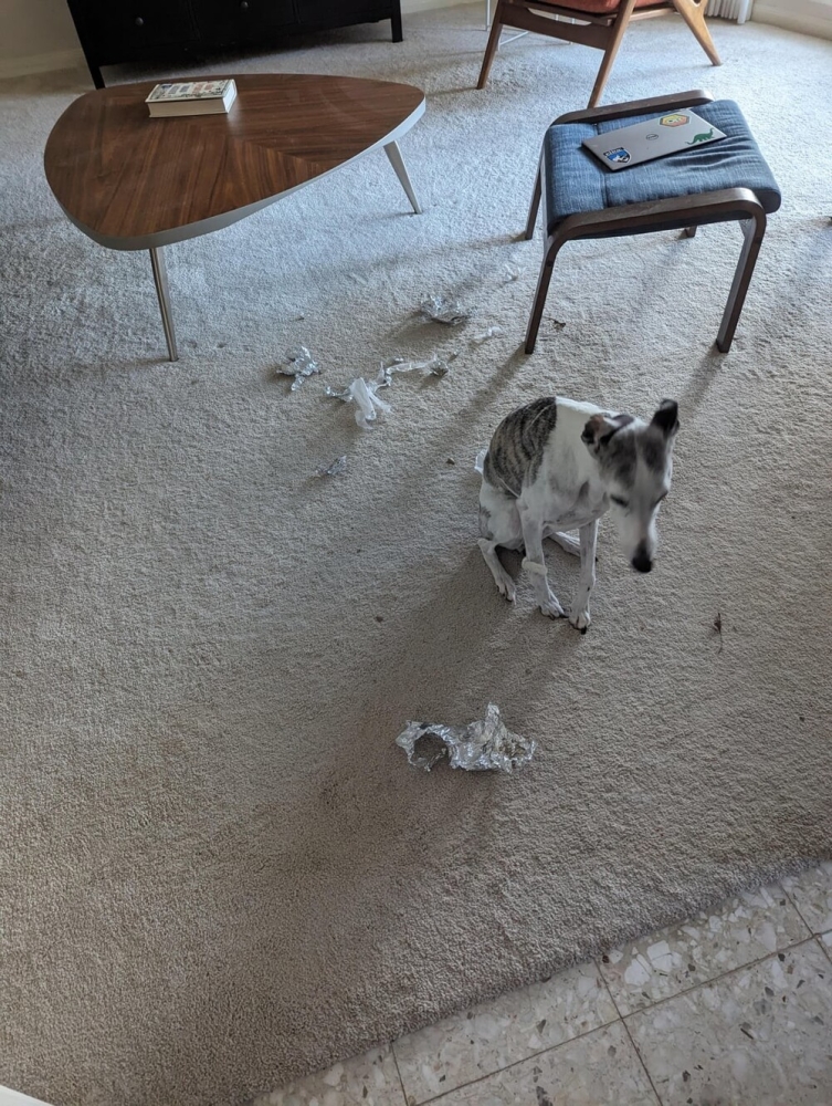 30 очаровательных пакостников, которые знают толк в дизайне и перепланировке
30 очаровательных пакостников, которые знают толк в дизайне и перепланировке