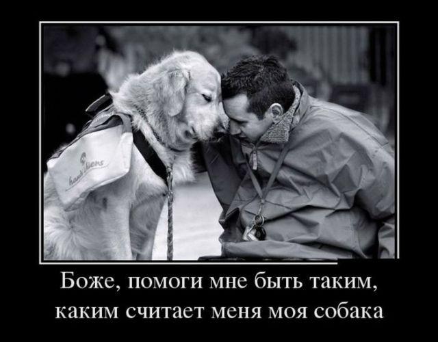 
			Демотиваторы №3791 (20 фото)