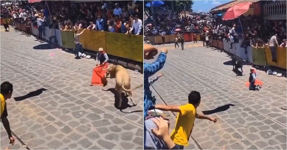 
        В&nbsp;Мексике тореадора сбил второй бык&nbsp;во&nbsp;время представления    