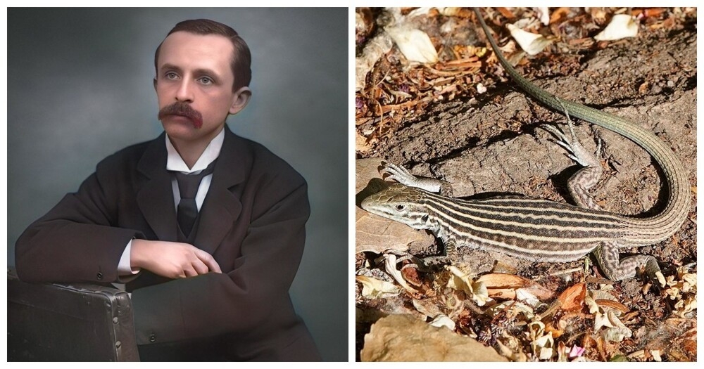 
        8&nbsp;реальных фактов, похожих на&nbsp;безумную выдумку    