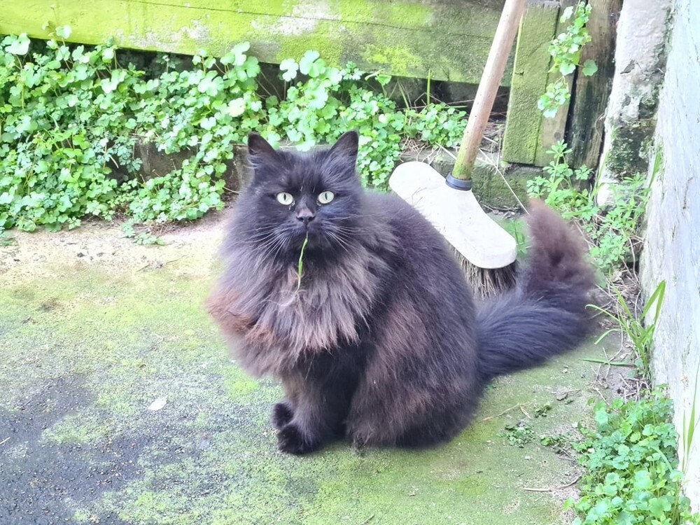 
        30&nbsp;снимков, доказывающих, что&nbsp;мимимишность спасёт мир    