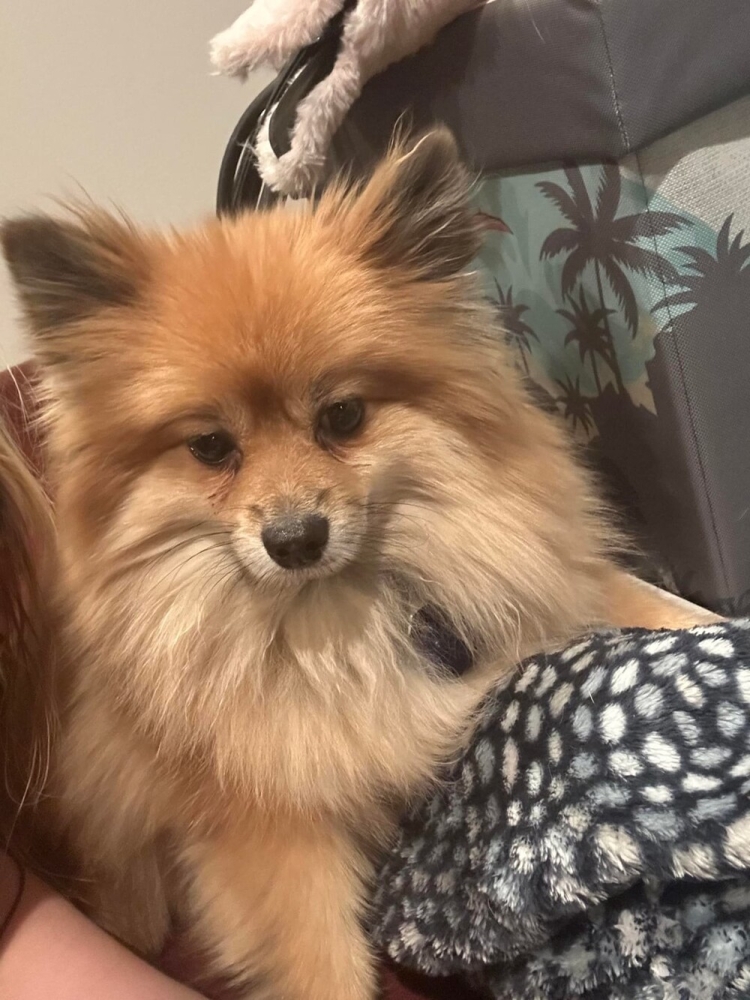 
        25&nbsp;фотороботов прелестных подозреваемых в&nbsp;совершении преступлений по&nbsp;уничтожению домашнего порядка    