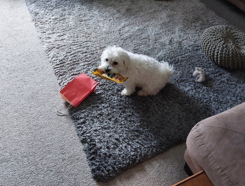 30 очаровательных пакостников, которые знают толк в дизайне и перепланировке
30 очаровательных пакостников, которые знают толк в дизайне и перепланировке