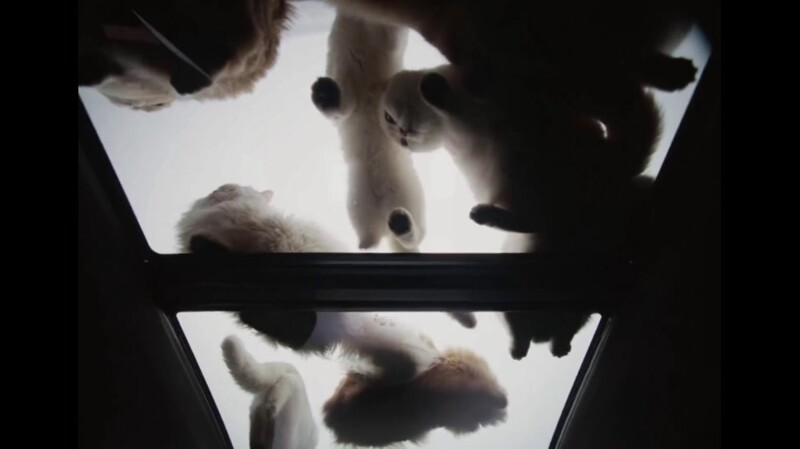 Забавная реклама автомобиля
Забавная реклама автомобиля