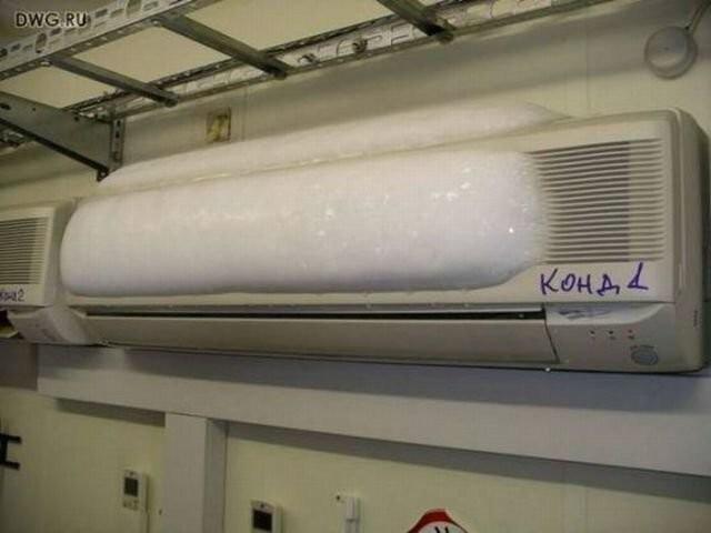 Подборка прикольных фото №3906