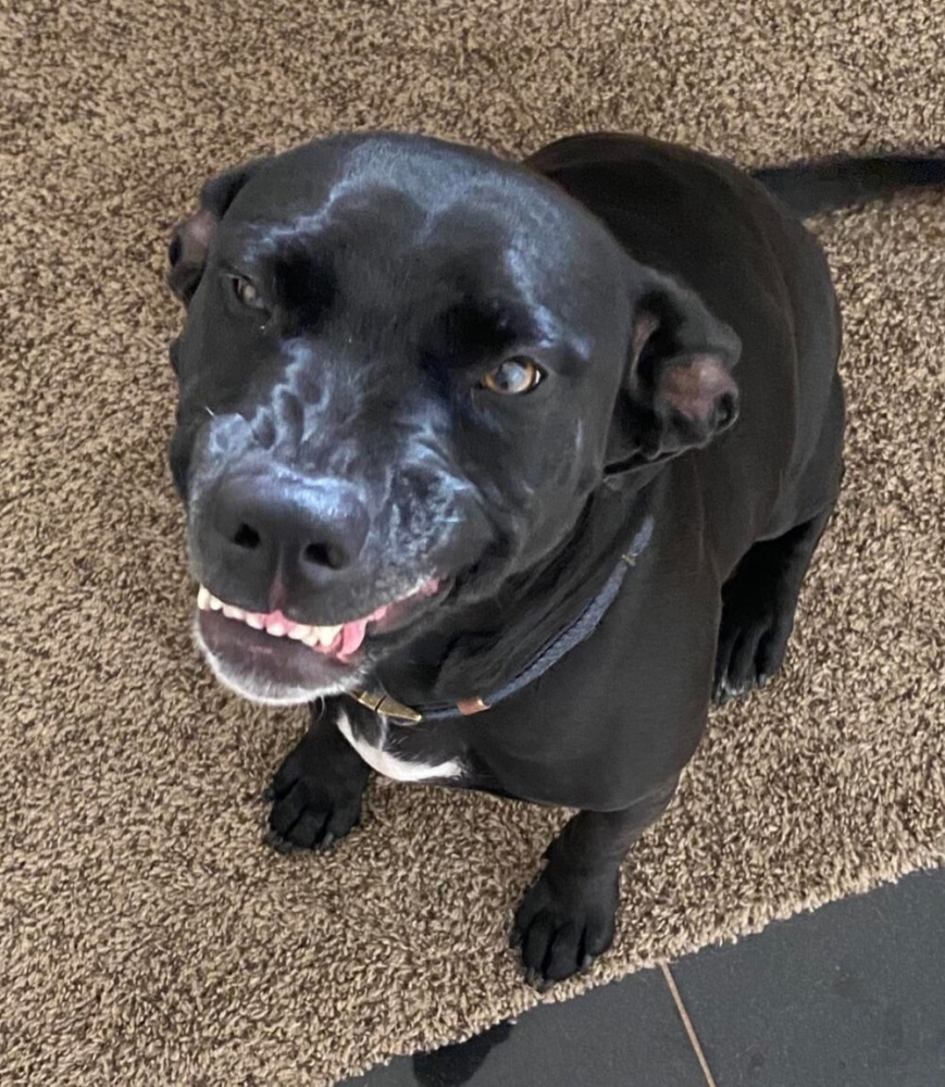 
        25&nbsp;фотороботов прелестных подозреваемых в&nbsp;совершении преступлений по&nbsp;уничтожению домашнего порядка    