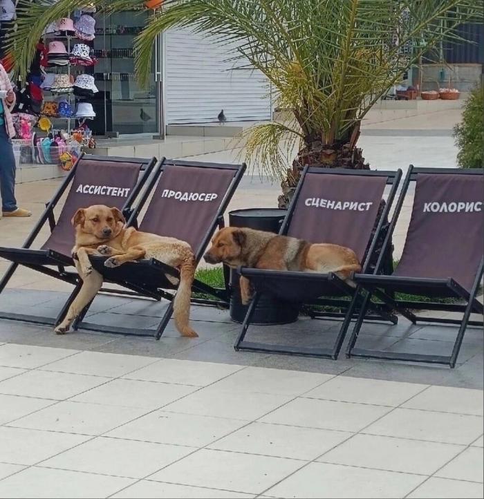 Подборка прикольных фото №3915