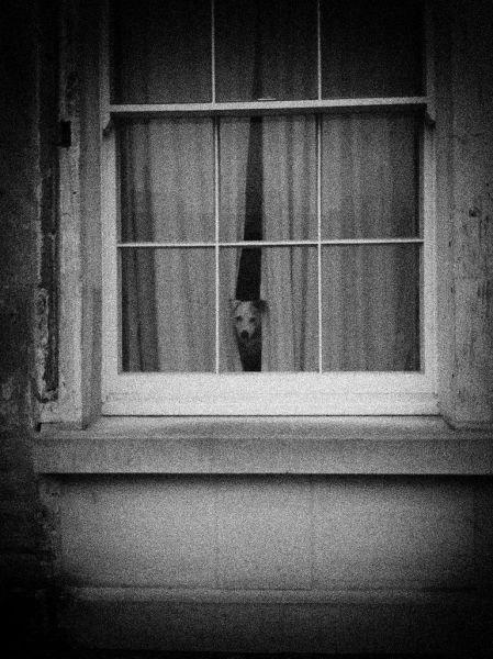 Подборка прикольных фото №3910