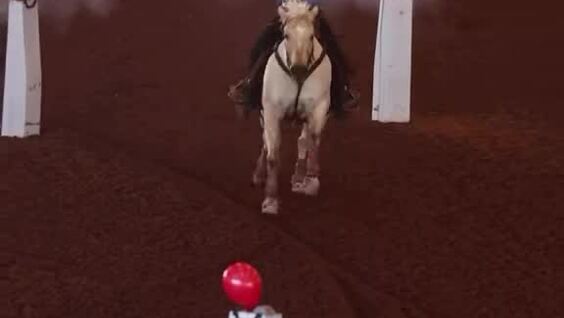 
        Скорость, точность и&nbsp;мастерство: конный спорт в&nbsp;действии    