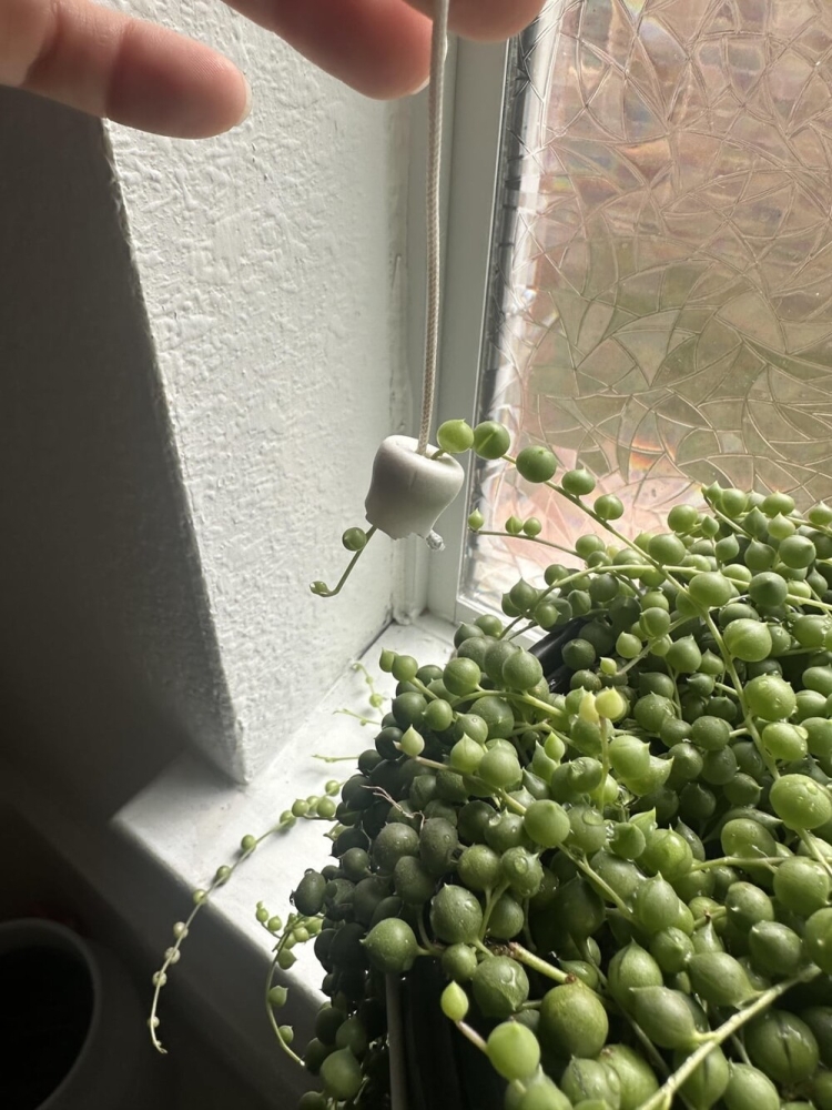 
        30&nbsp;кадров, которые заставят вас&nbsp;протереть глаза    