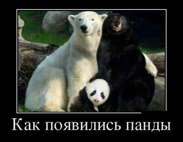 
			Демотиваторы №3791 (20 фото)