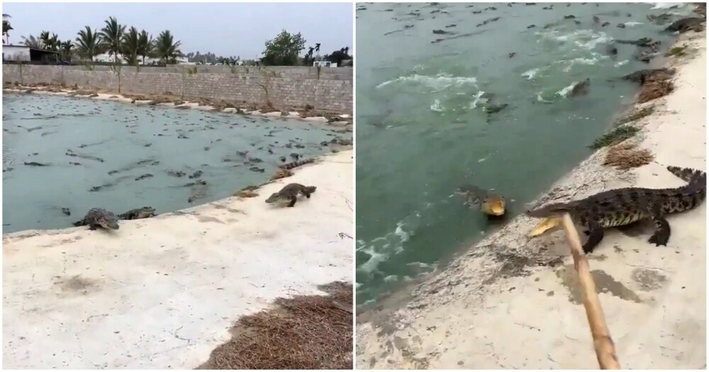 
        Работа для&nbsp;людей со&nbsp;стальными нервами    