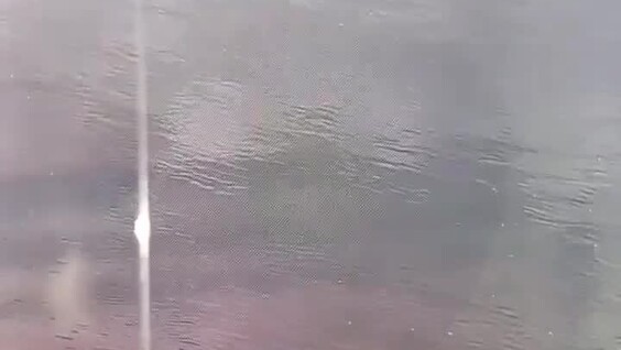 
        Школьник сплавлялся по&nbsp;реке в&nbsp;ванне    