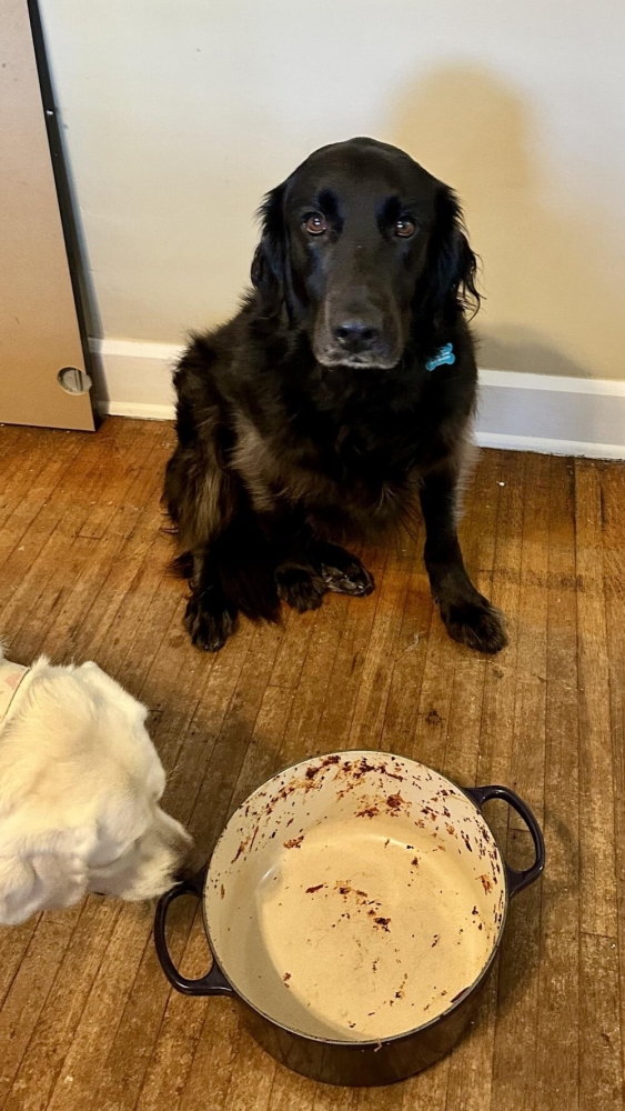 30 очаровательных пакостников, которые знают толк в дизайне и перепланировке
30 очаровательных пакостников, которые знают толк в дизайне и перепланировке