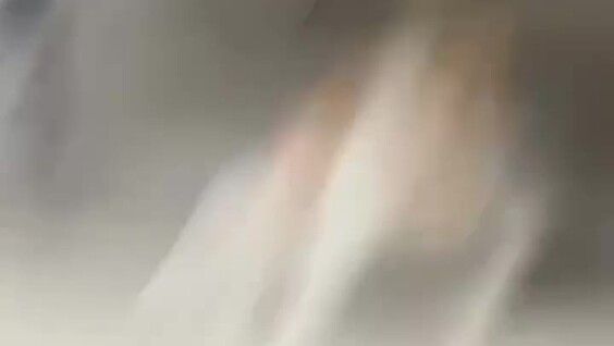 
        Профессионал: кошка ловит крысу    