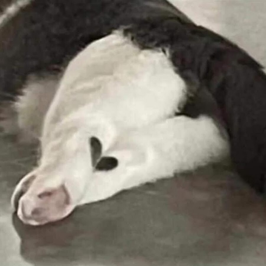 20+ моделей, фотогеничности которых можно только позавидовать
20+ моделей, фотогеничности которых можно только позавидовать