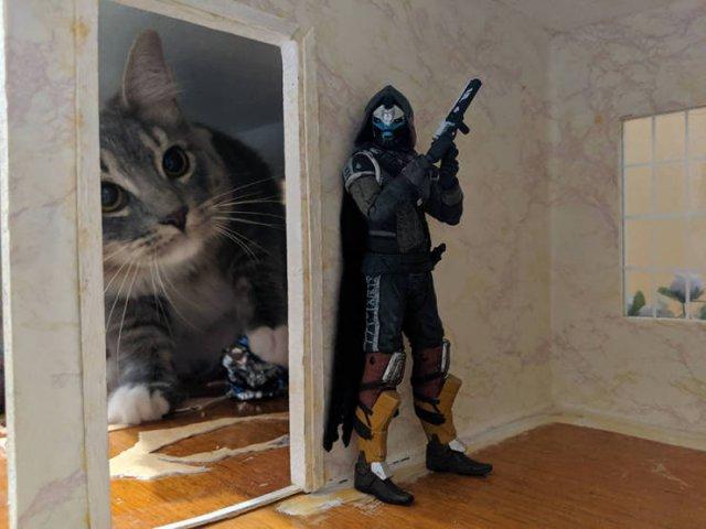 Подборка прикольных фото №3914