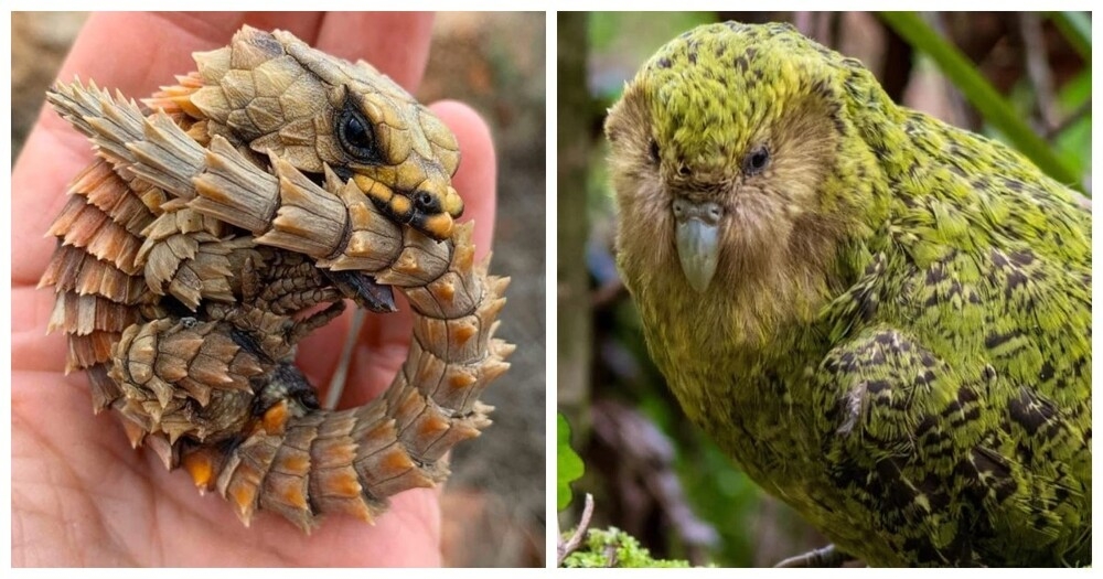 
        23&nbsp;веских причины заново влюбиться в&nbsp;эту&nbsp;планету    