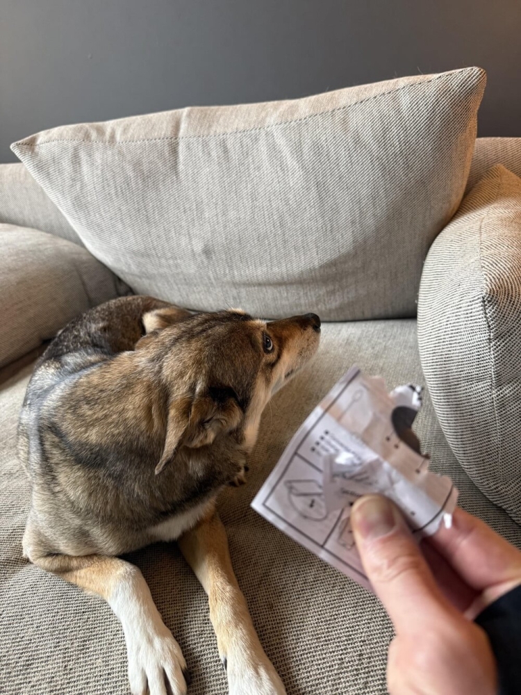 
        25&nbsp;фотороботов прелестных подозреваемых в&nbsp;совершении преступлений по&nbsp;уничтожению домашнего порядка    