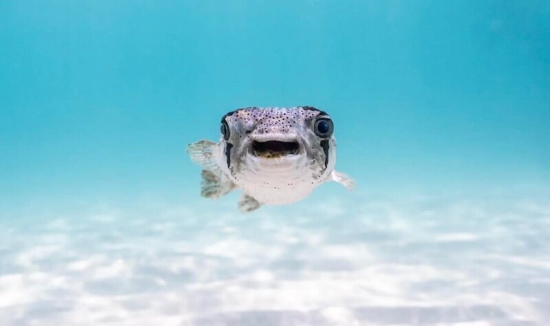 25 фотографий, после просмотра которых захочется купить палатку и уехать в лес
25 фотографий, после просмотра которых захочется купить палатку и уехать в лес