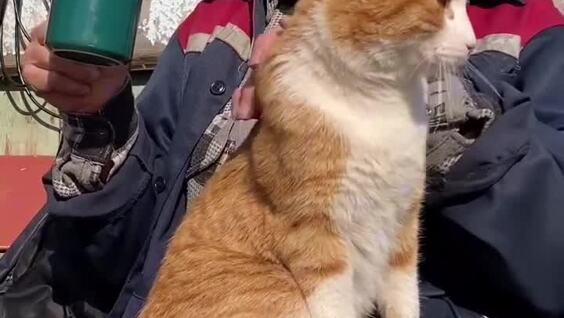 
        Маленькое тихое счастье    