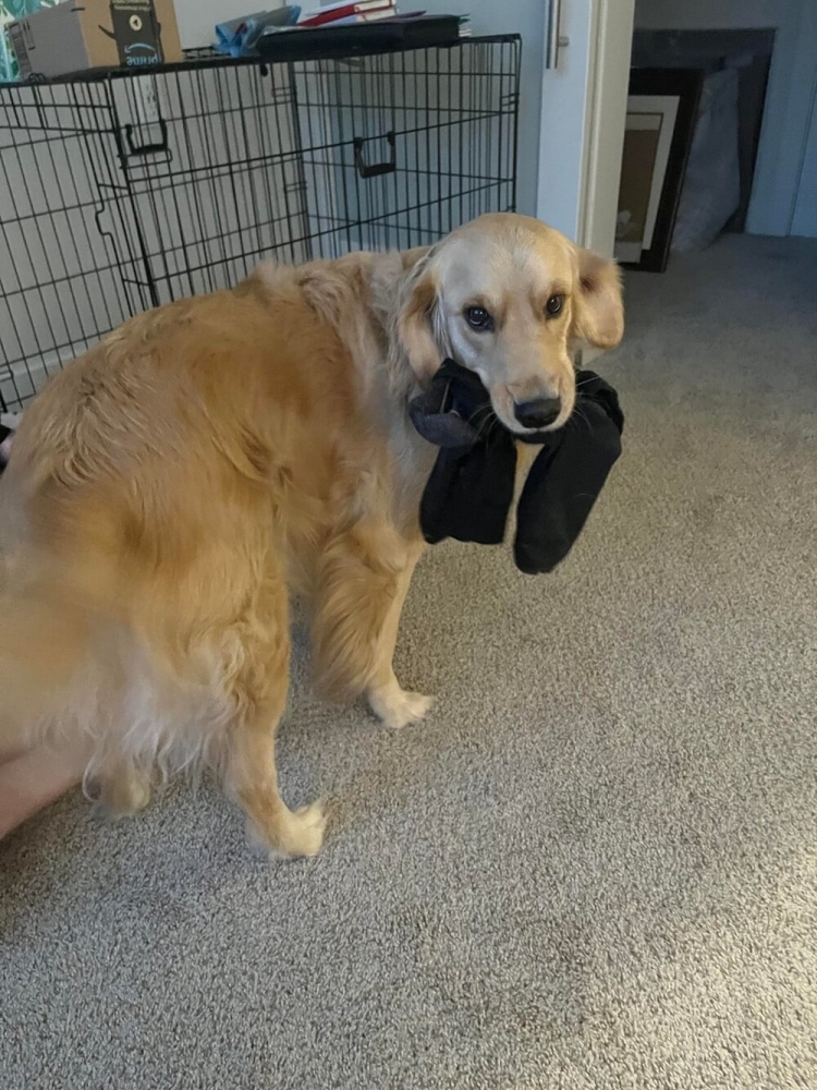 30 очаровательных пакостников, которые знают толк в дизайне и перепланировке
30 очаровательных пакостников, которые знают толк в дизайне и перепланировке