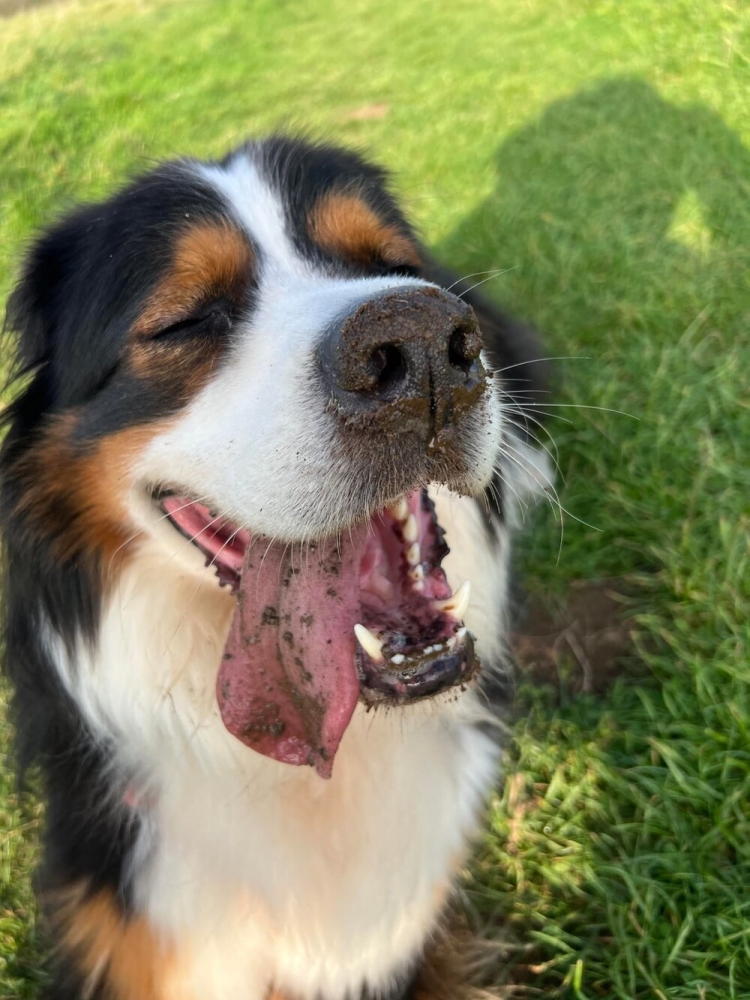 30 очаровательных пакостников, которые знают толк в дизайне и перепланировке
30 очаровательных пакостников, которые знают толк в дизайне и перепланировке