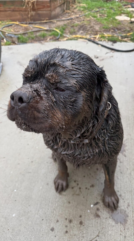 
        25&nbsp;фотороботов прелестных подозреваемых в&nbsp;совершении преступлений по&nbsp;уничтожению домашнего порядка    