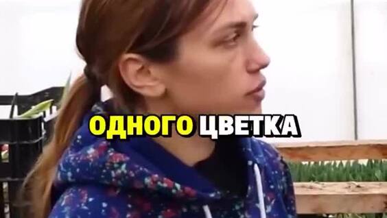 
        Девушка рассказала, сколько на&nbsp;самом деле стоит вырастить тюльпан    