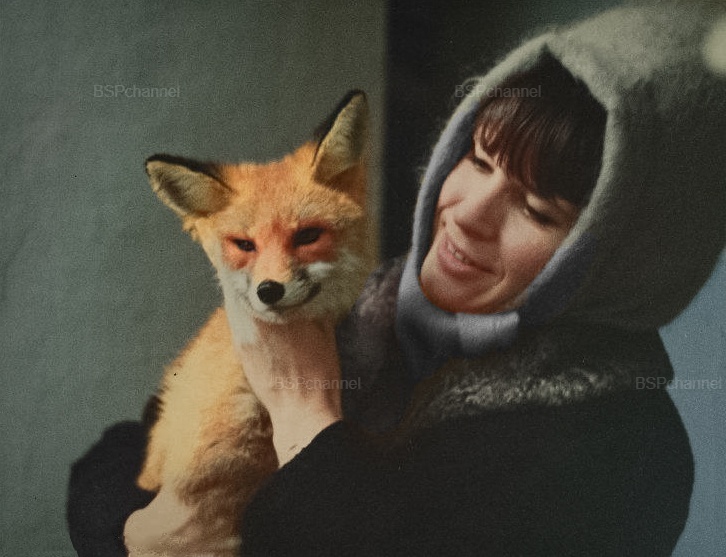 Удивительные и забавные фотографии с животными
Удивительные и забавные фотографии с животными