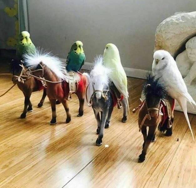 Подборка прикольных фото №3908